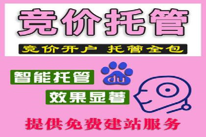 案例分析：SEM托管优化效果显著展示